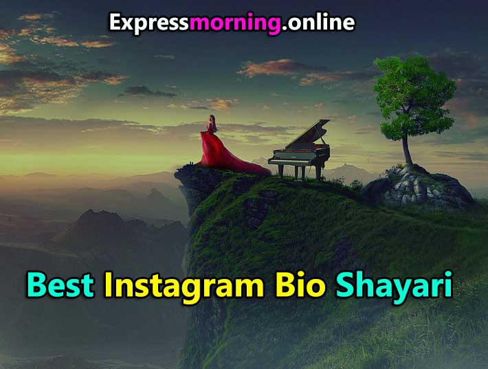 instagram bio hindi shayari, bio shayari instagram, bio for instagram shayari